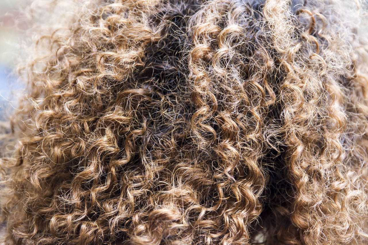 Preventing Hair Loss in Naturally Curly Hair