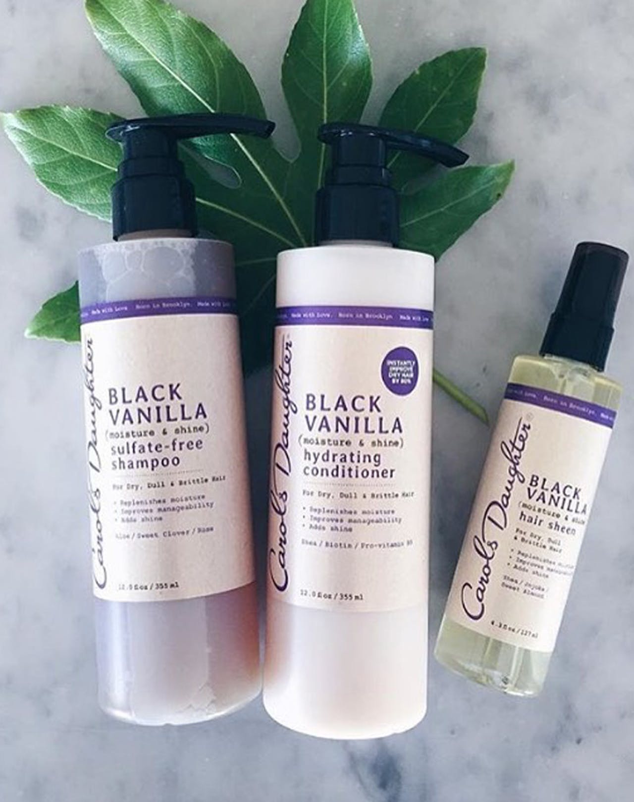 shampoo for curls